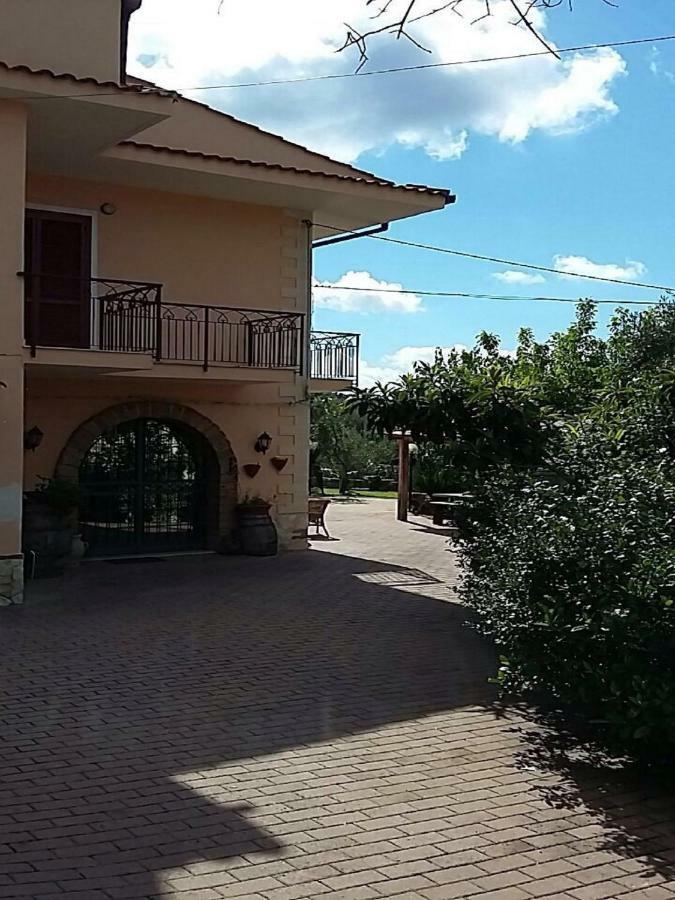 B&B Grandinetti Nocera Terinese Exteriör bild