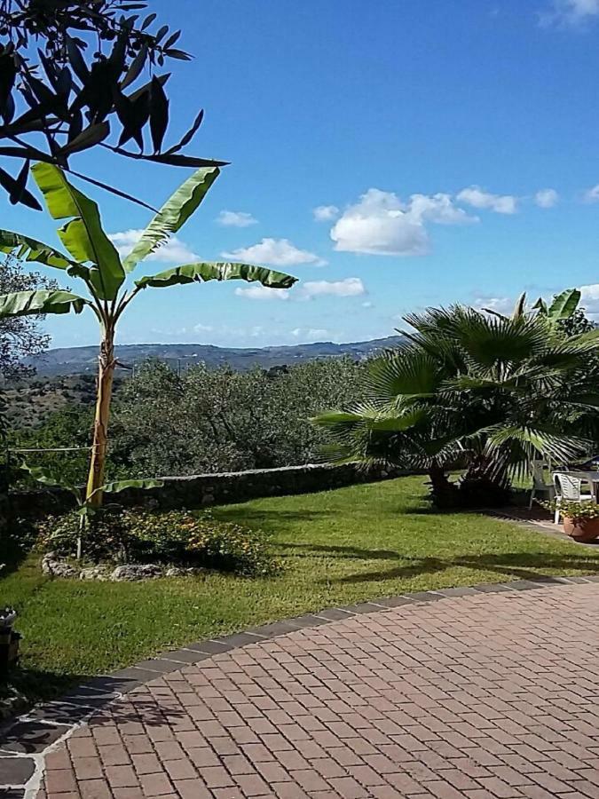 B&B Grandinetti Nocera Terinese Exteriör bild
